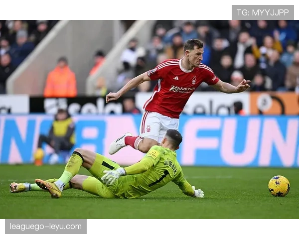 乔阿梅尼诺加盟诺丁汉森林,英超新赛季迎来新力量 乔阿梅尼诺加盟诺丁汉森林,英超新赛季迎来新力量