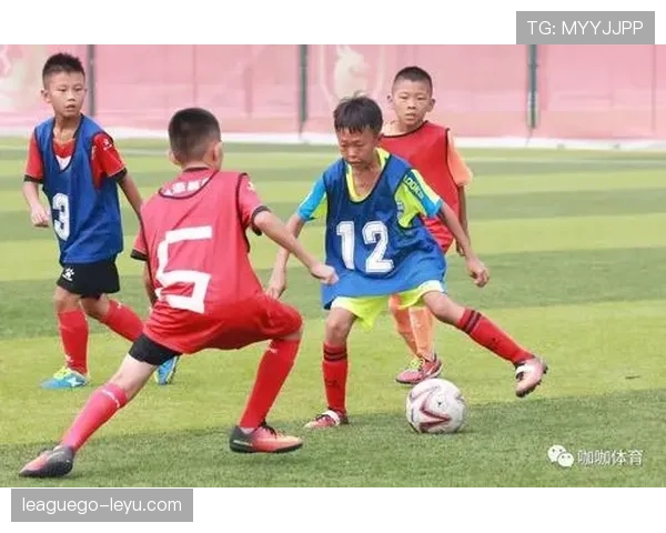 中国足球青训改革成效显著，未来之星加速崛起