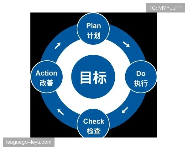 Son近期表现稳健，新策略显著提升效率引关注