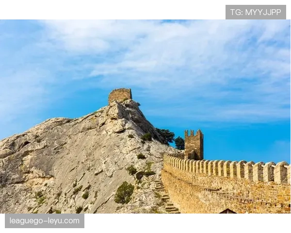 法马防线稳固助力地区安全形势持续向好