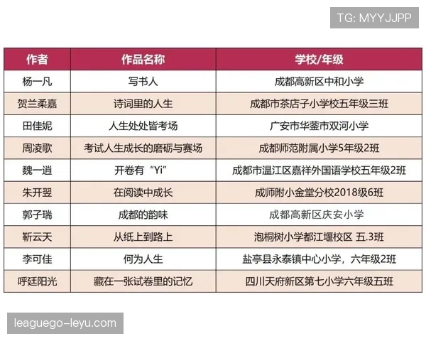 个人奖项与团队成绩：维尼修斯的生涯评估