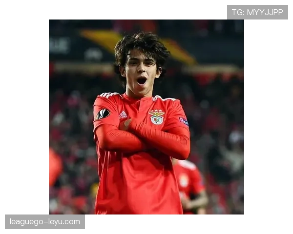 菲利克斯本菲卡封神赛季解析：一战成名欧洲赛场